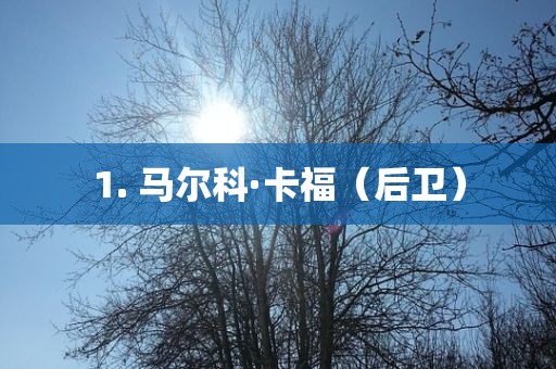 1. 马尔科·卡福（后卫）