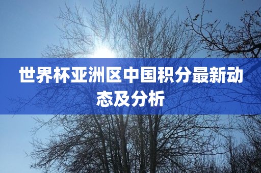 世界杯亚洲区中国积分最新动态及分析