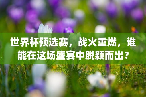 世界杯预选赛，战火重燃，谁能在这场盛宴中脱颖而出？