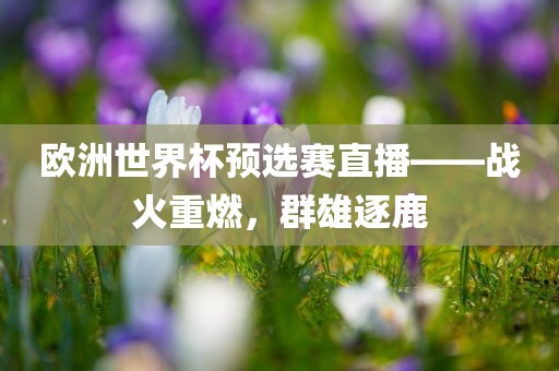 欧洲世界杯预选赛直播——战火重燃，群雄逐鹿漯河市盈旭机械设备有限公司