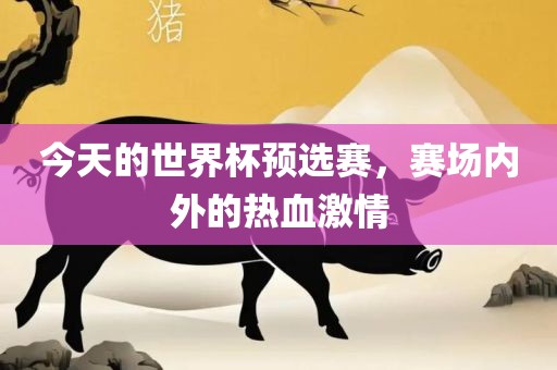今天的世界杯预选赛，赛场内外的热血激情漯河市盈旭机械设备有限公司