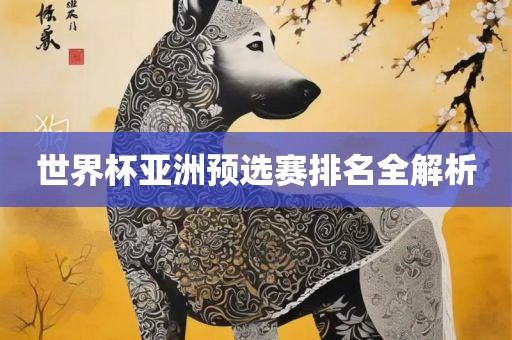 世界杯亚洲预选赛排名全解析