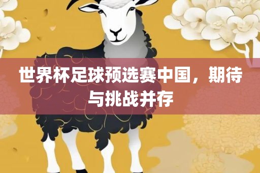 世界杯足球预选赛中国，期待与挑战并存