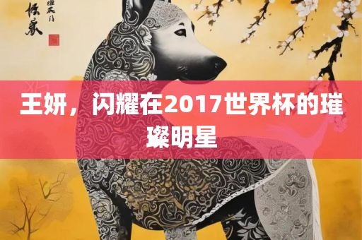 王妍，闪耀在2017世界杯的璀璨明星