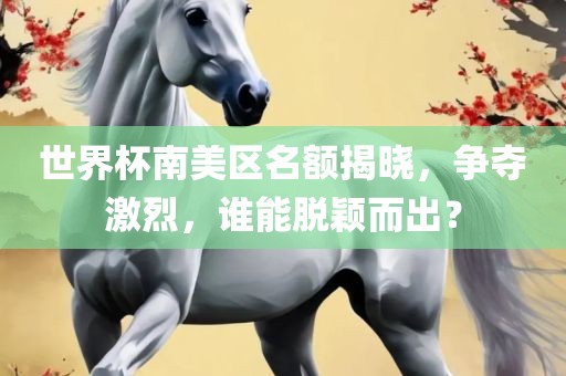 世界杯南美区名额揭晓，争夺激烈，谁能脱颖而出？