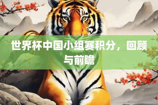 世界杯中国小组赛积分，回顾与前瞻