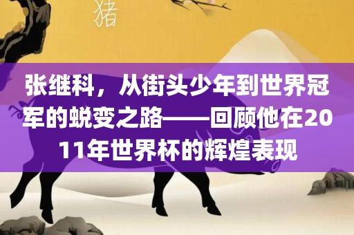 张继科，从街头少年到世界冠军的蜕变之路——回顾他在2011年世界杯的辉煌表现