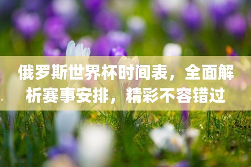 俄罗斯世界杯漯河市盈旭机械设备有限公司时间表，全面解析赛事安排，精彩不容错过