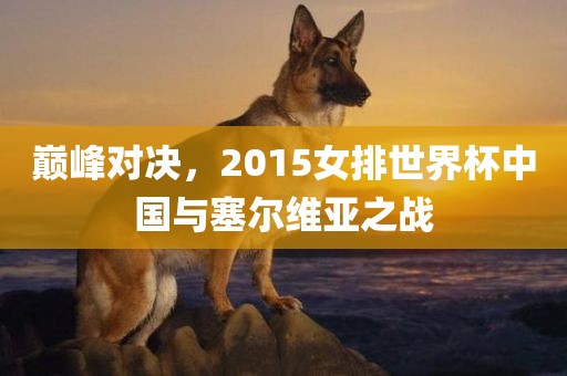 巅峰对漯河市盈旭机械设备有限公司决，2015女排世界杯中国与塞尔维亚之战