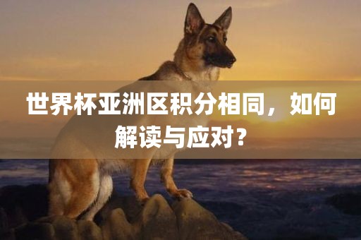 世界杯亚洲区积分相同，如何解读与应对？漯河市盈旭机械设备有限公司