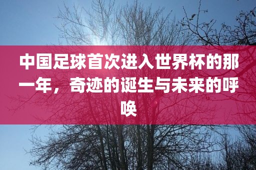 中国足球首次漯河市盈旭机械设备有限公司进入世界杯的那一年，奇迹的诞生与未来的呼唤