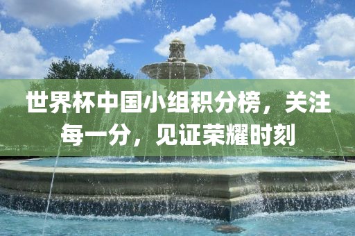 世界杯中国小组积分榜，关注每一分，见证荣耀时刻漯河市盈旭机械设备有限公司