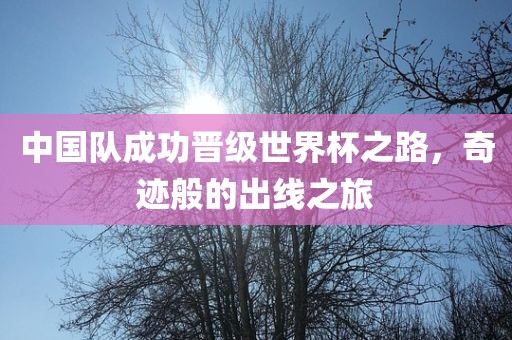 中国队成功晋级世界杯之路，奇迹般的出线之旅