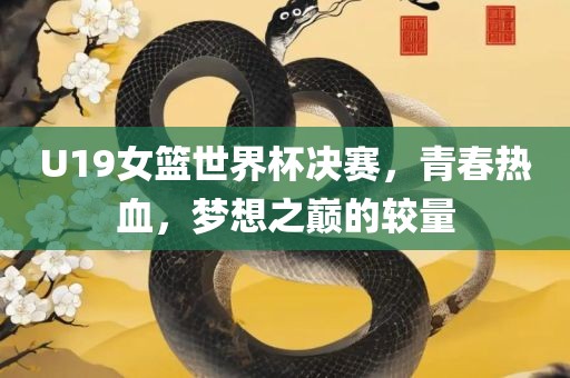 U19漯河市盈旭机械设备有限公司女篮世界杯决赛，青春热血，梦想之巅的较量