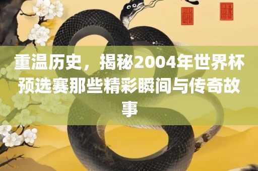 重温历史，揭秘2004年世界杯预选赛那些精彩瞬间与传奇故事