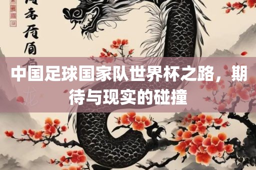中国足球国家队世界杯之路，期待与现实的碰撞