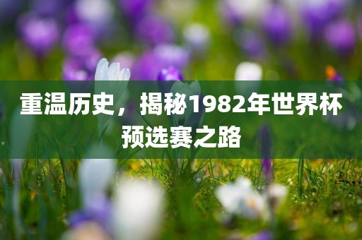 重温历史，揭秘1982年世界杯预选赛之路