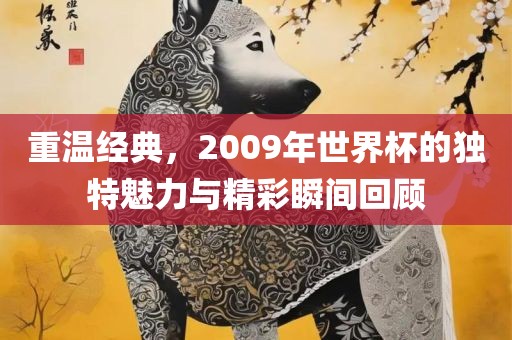 重温经典，2009年世界杯的独特魅力与精彩瞬间回顾