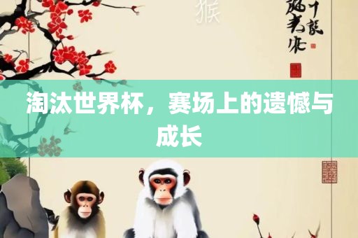 淘汰世界杯，赛场上的遗憾与成长
