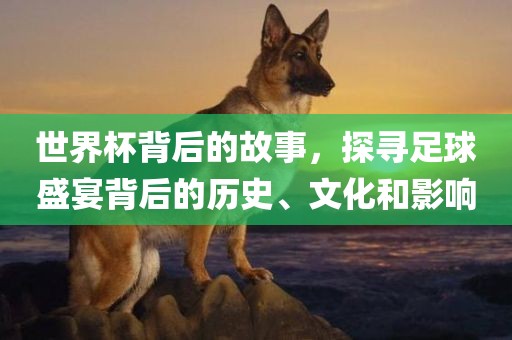 世界杯背后的故事，探寻足球盛宴背后的历史、文化和影响