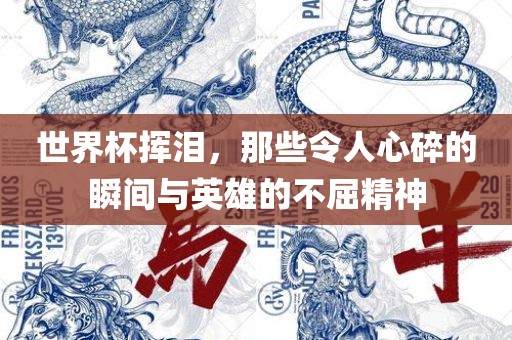 世界杯挥泪，那些令人心碎的瞬间与英雄的不屈精神