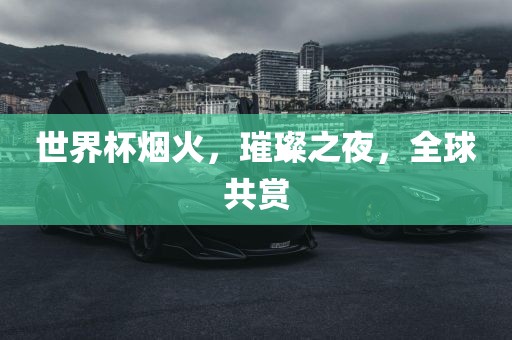 huamei 第6页
