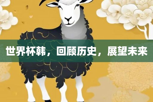 世界杯韩，回顾历史，展望未来