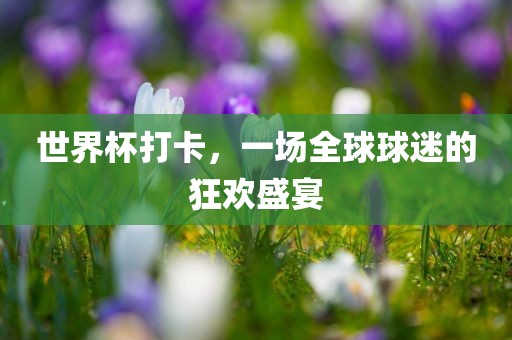 世界杯打卡，一场全球球迷的狂欢盛宴