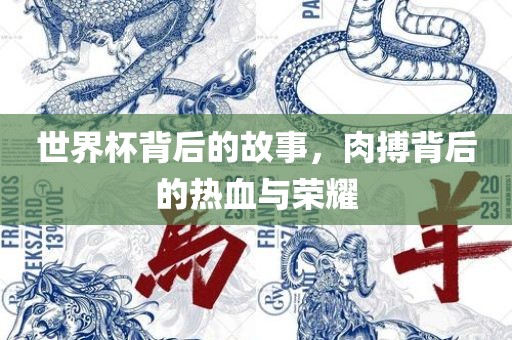 世界杯背后的故事，肉搏背后的热血与荣耀