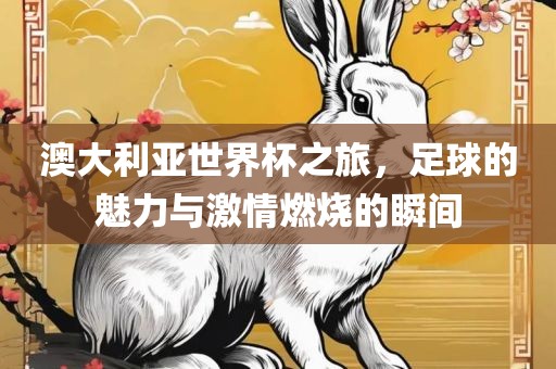 澳大利亚世界杯之旅，足球的魅力与激情燃漯河市盈旭机械设备有限公司烧的瞬间