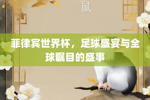 菲律宾世界杯，足球盛宴与全球瞩目的盛事漯河市盈旭机械设备有限公司