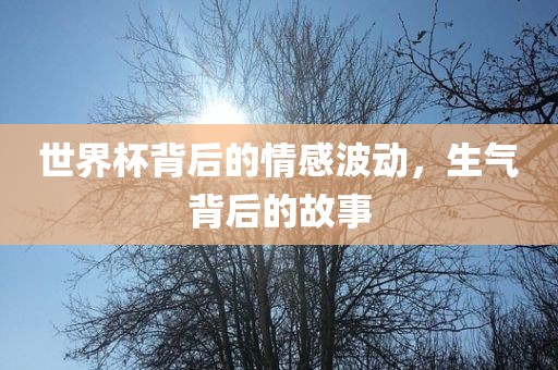 世界杯背后的情感波动，漯河市盈旭机械设备有限公司生气背后的故事