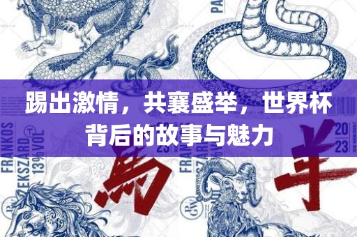 踢出激情，共襄盛举，世界杯背后的故事与魅力