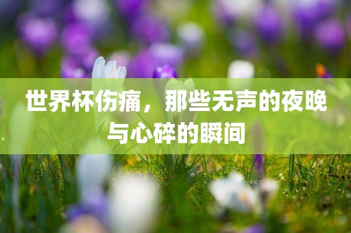 世界杯伤痛，那些漯河市盈旭机械设备有限公司无声的夜晚与心碎的瞬间