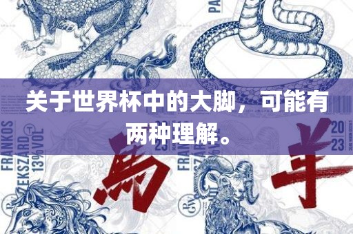 关于世界杯中的大脚，可能有两种理解。漯河市盈旭机械设备有限公司