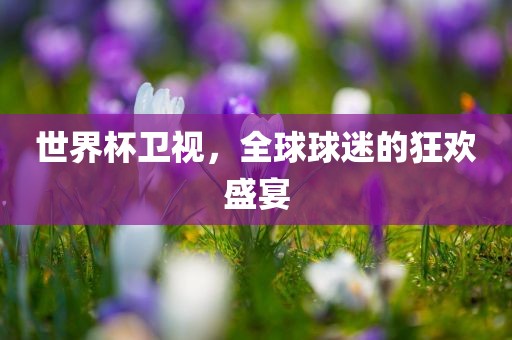 世界杯卫视，全球球迷的狂欢盛宴