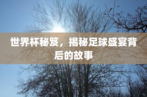 世界杯秘笈，揭秘足球盛宴背后的故事漯河市盈旭机械设备有限公司