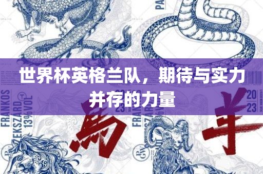 世界杯英格兰队，期待与实力并漯河市盈旭机械设备有限公司存的力量