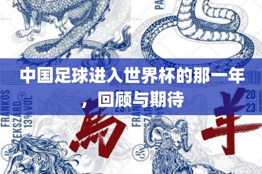 中国足球进入世界杯的那一年，回顾与期待漯河市盈旭机械设备有限公司