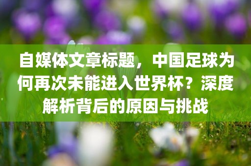 自媒体文章标题，中国足球为何再次未能进入世界杯？深度解析背后的原因与挑战漯河市盈旭机械设备有限公司