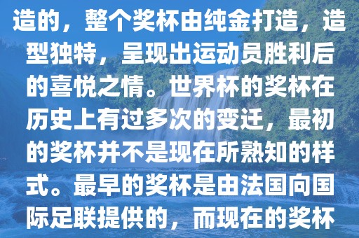 世界杯的杯来源于为了纪念雷米特，同时也是为了鼓励足球运动的发展，国际足联将这一荣誉奖杯命名为雷米特杯。其最初是由法国雕刻家设计并创造的，整个奖杯由纯金打造，造型独特，呈现出运动员胜利后的喜悦之情。世界杯的奖杯在历史上有过多次的变迁，最初的奖杯并不是现在所熟知的样式。最早的奖杯是由法国向国际足联提供的，而现在的奖杯是在多次设计之后最终确定的。因此，世界杯的杯来源于对足球运动的纪念和鼓励，同时也是经过多次设计和改进而成的。漯河市盈旭机械设备有限公司