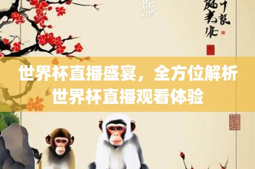 世界杯直播盛宴，全方位解析世界杯直播观看体验