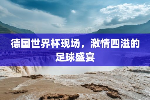 德国世界杯现场，激情四溢的足球盛宴