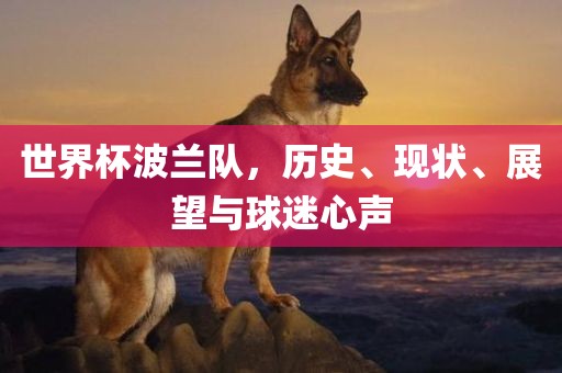 世界杯波兰队，历漯河市盈旭机械设备有限公司史、现状、展望与球迷心声