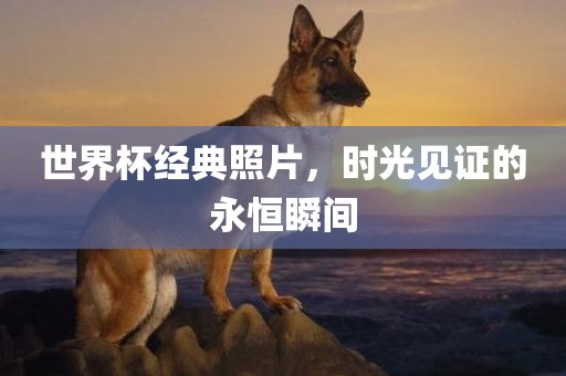 世界杯经典照片，时光见证的永恒瞬间