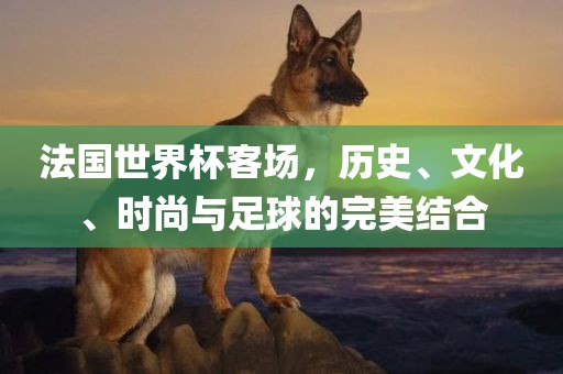 法国世界杯客场，历史、文化、时漯河市盈旭机械设备有限公司尚与足球的完美结合
