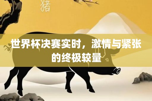世界杯决赛实时，激情与紧张的漯河市盈旭机械设备有限公司终极较量