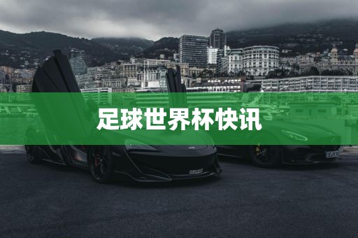 足球世界杯 第4页