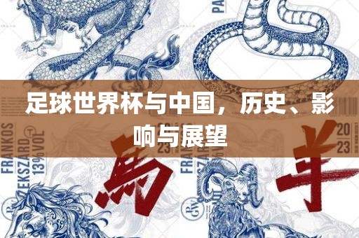 足球世界杯与中国，历史、影响与展望漯河市盈旭机械设备有限公司