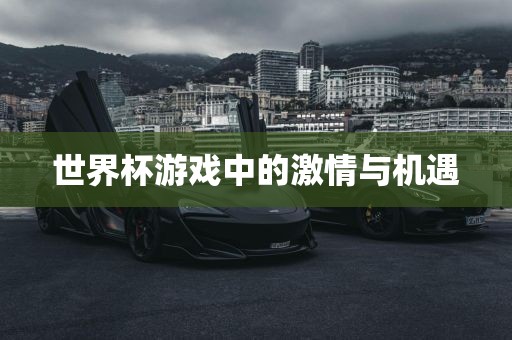 世界杯游戏中的激情与机遇漯河市盈旭机械设备有限公司